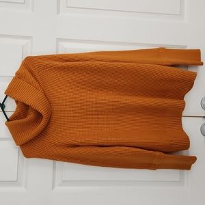 Market & Spruce Turtleneck Sweater